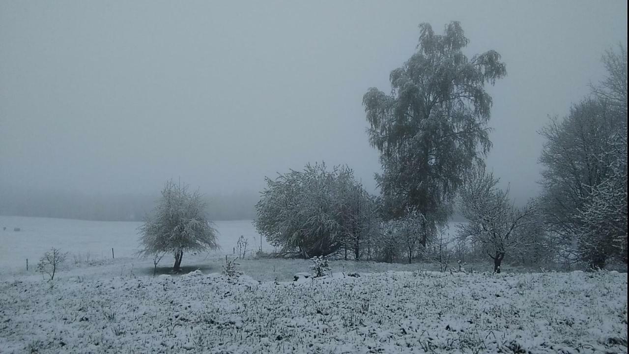 Novohradske Hory - Pronajem Na Samote U Lesa