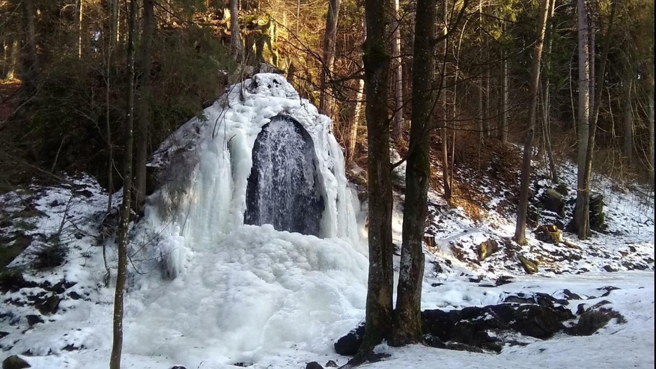 Novohradske Hory - Pronajem Na Samote U Lesa Benesov nad Cernou