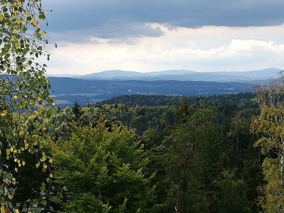 Novohradske Hory - Pronajem Na Samote U Lesa * Benesov nad Cernou